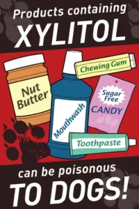 xylitol chewing gum