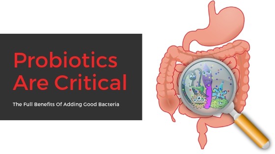 probiotics for teeth and gums