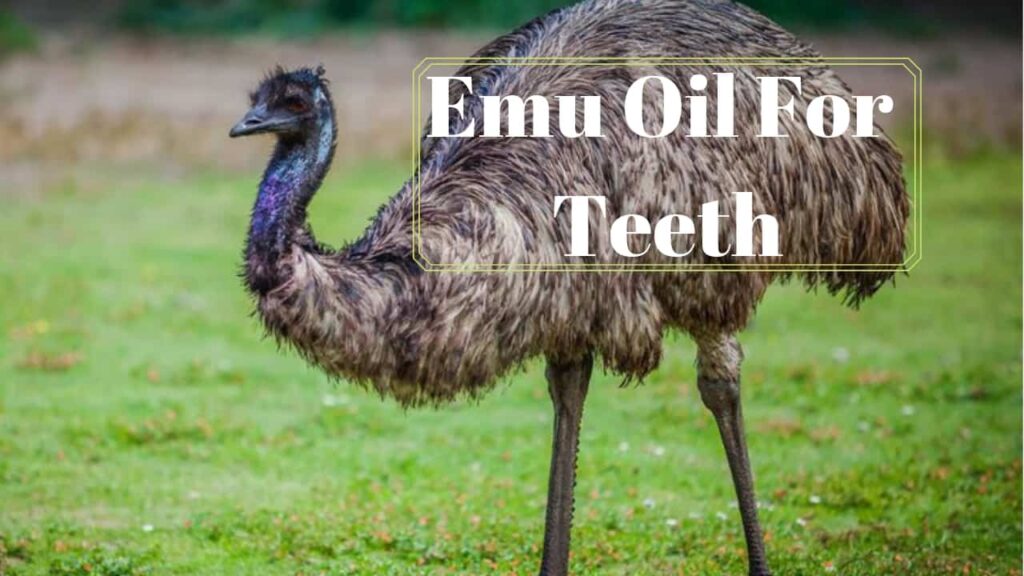 Emu Oil For Teeth