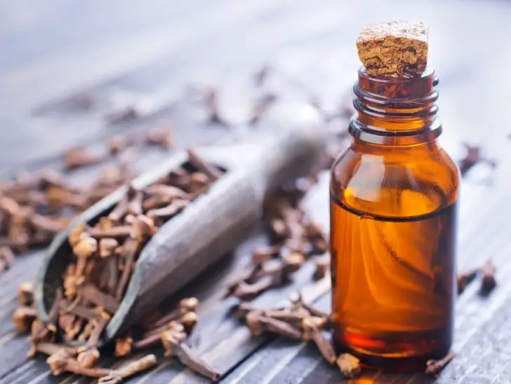 clove oil to treat a toothache