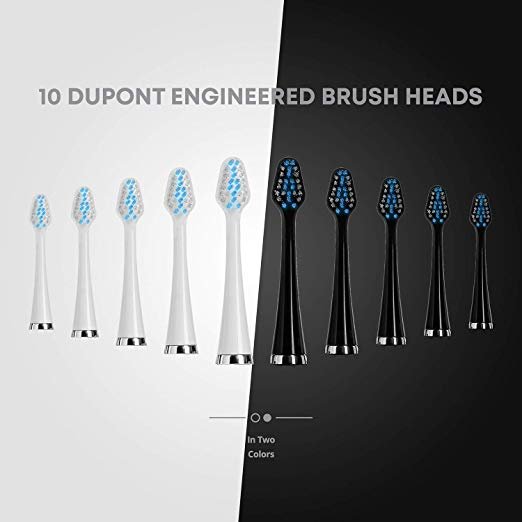 aquasonic electric toothbrush